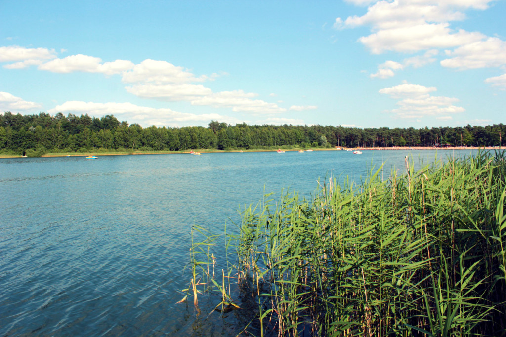 Toruń - Jezioro Kamionkowskie