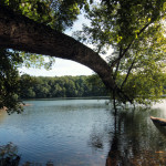 Wielkopolski Park Narodowy - jezioro Kociołek