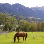 Liechtenstein: wybieg dla koni